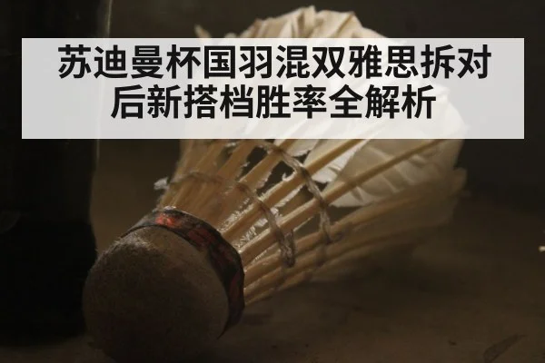 苏迪曼杯国羽混双雅思拆对后新搭档胜率全解析