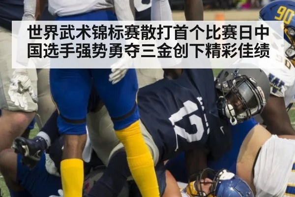 世界武术锦标赛散打首个比赛日中国选手强势勇夺三金创下精彩佳绩